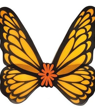 Butterfly wings 73 x 76 cm