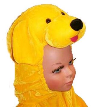 dog yellow