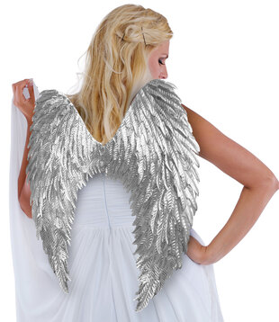 Silver wings 70 x 50 cm