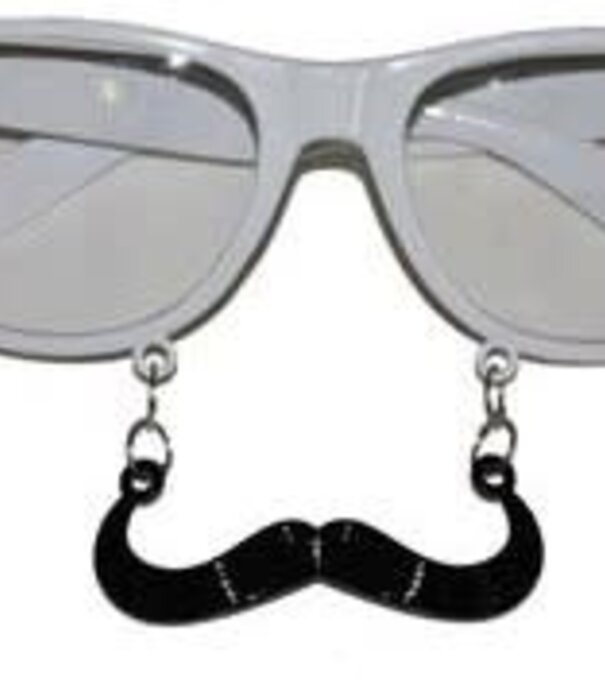 lunettes avec moustache