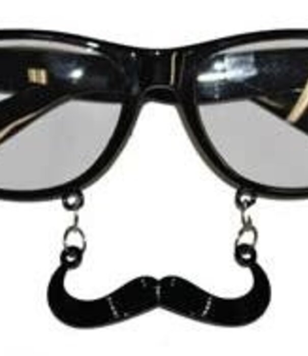 lunettes avec moustache