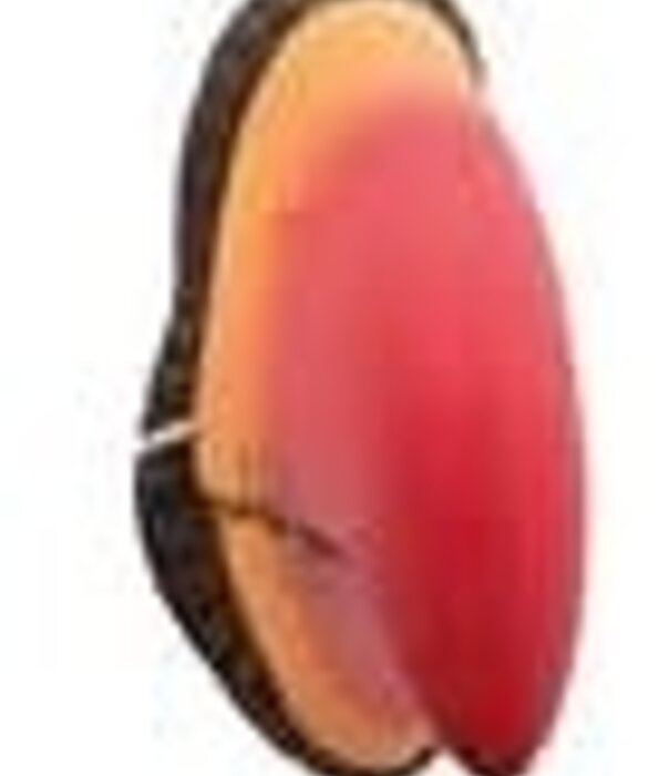 Funny Fashion animal nose