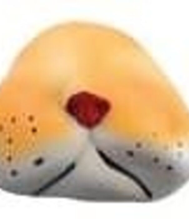 Funny Fashion animal nose