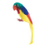 perroquet 30 cm