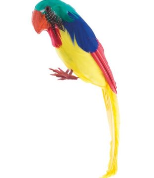 parrot 30 cm