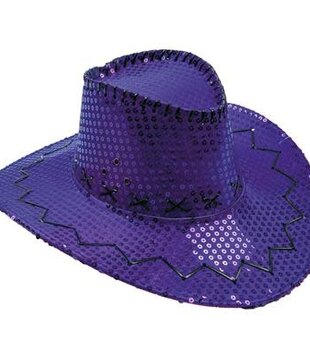 cowboy hat with sequins