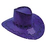 Chapeau de cowboy à paillettes