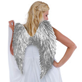 wings 70 x 50cm