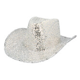 Chapeau Rodéo Party