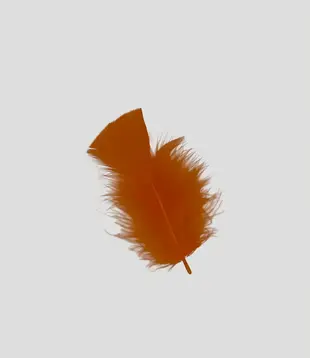 100g bag of turkey feathers