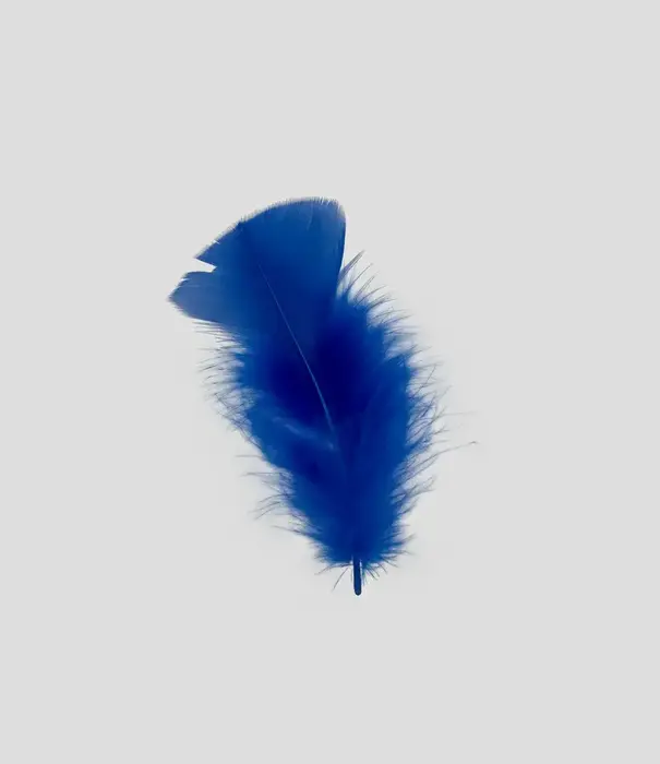 Sachet de 100 g de plumes de dinde