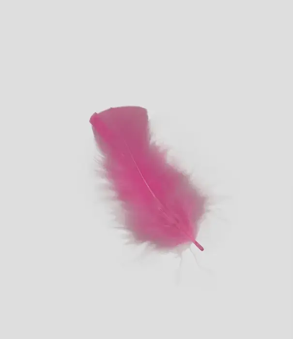 Sachet de 100 g de plumes de dinde