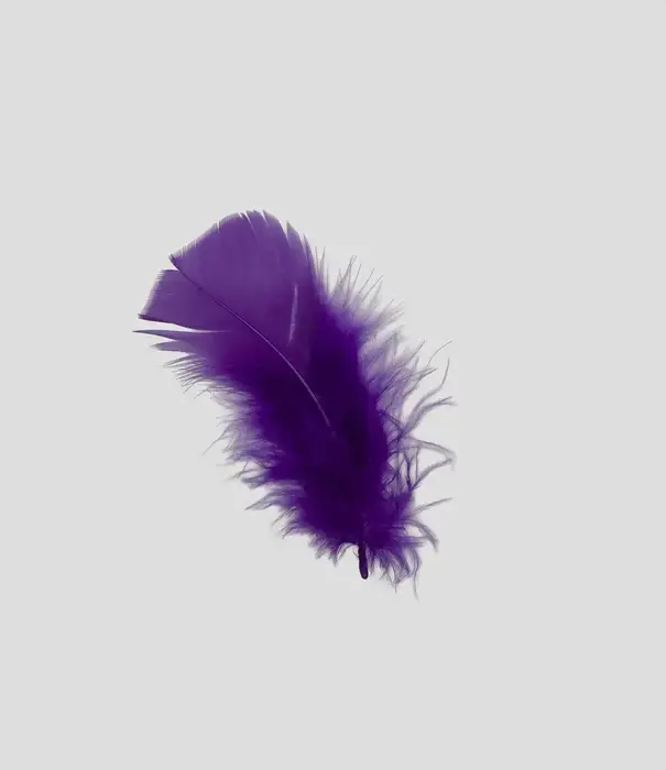100g bag of turkey feathers