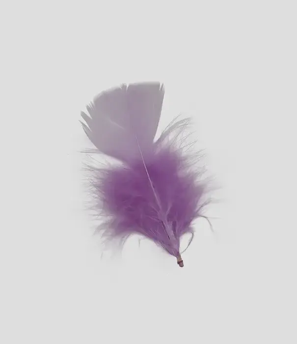 Sachet de 100 g de plumes de dinde