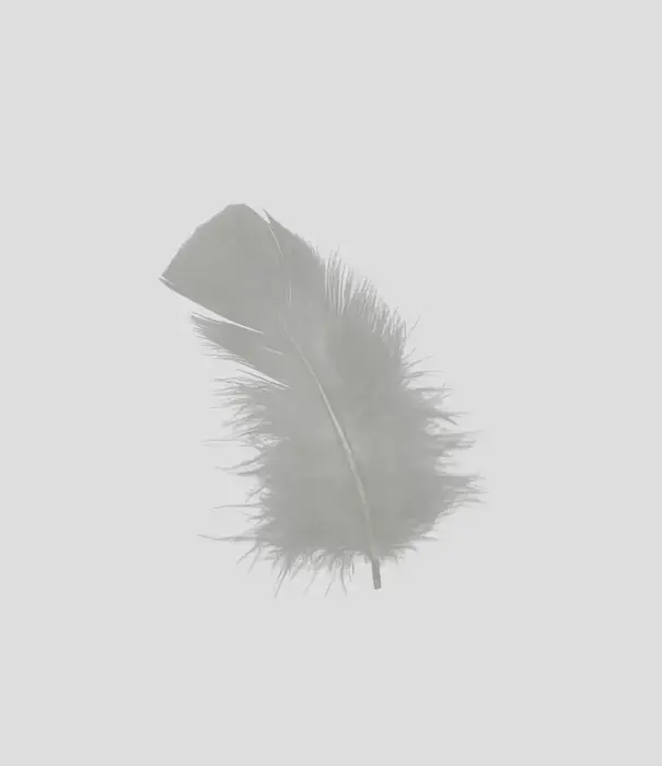 Sachet de 100 g de plumes de dinde