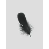 Sachet de 100 g de plumes de dinde