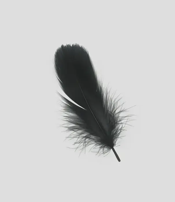 100g bag of turkey feathers