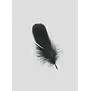 100g bag of turkey feathers