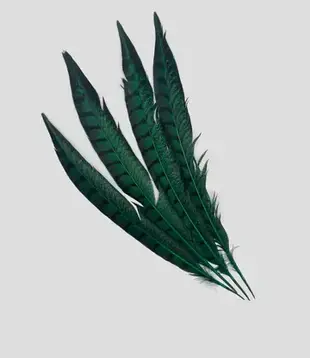 Lady pheasant feather 30-35cm (4 per bag)