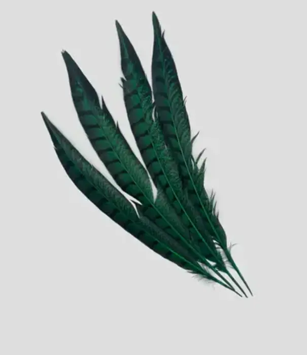 Lady pheasant feather 30-35cm (4 per bag)