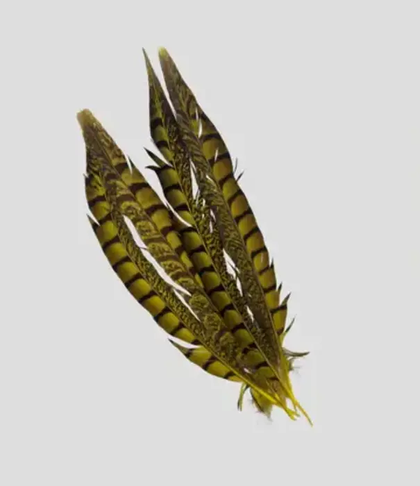 Plumes de faisane femelle 30-35cm (4 par sachet)