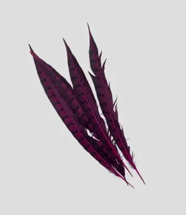 Plumes de faisane femelle 30-35cm (4 par sachet)
