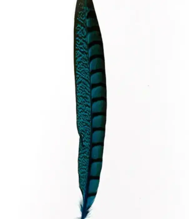 Lady fazantenveer 30-35cm (4 per zakje)