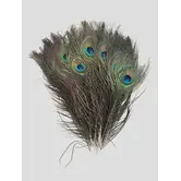 Plumes de paon naturelles 25-30 cm (25 par sachet)