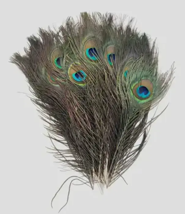Natural peacock feather 25-30cm (25 per bag)