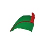 hoed Robin Hood