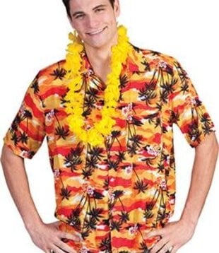 Hawaiian shirt