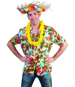 Hawaiian shirt