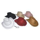 cowboy hat buckskin