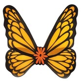Butterfly wings 73 x 76 cm