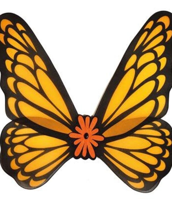 Butterfly wings 73 x 76 cm