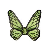 Vlindervleugels 73 x 76 cm