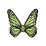 Vlindervleugels 73 x 76 cm