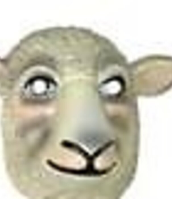 Masque d'animal pour enfants
