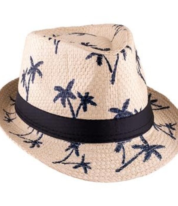 Zomerhoed palmbomen
