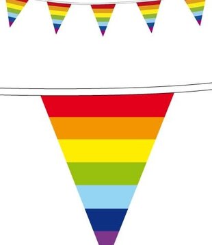Vlaggenlijn regenboog 10 meter