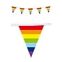 Vlaggenlijn regenboog 10 meter