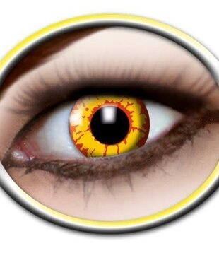 Ork daily lenses