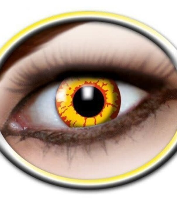 Lentilles journalières Ork