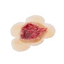 Open wound (40x40mm) 808