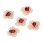 Kogelgaten  ( 5stuks 25x25mm) 815