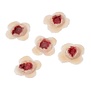 Kogelgaten  ( 5stuks 25x25mm) 815