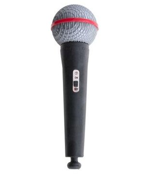 microphone (5 x 5 x 19 cm)