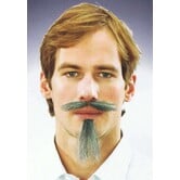 Snor-baard musketier grijs