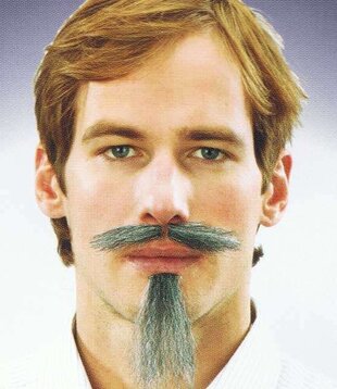 Snor-baard musketier grijs