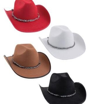 cowboy hoed bruin